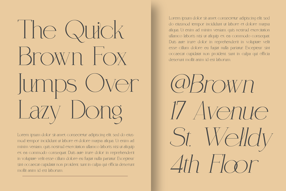 Coefficient Modern & Elegant Serif, a Serif Font by Lettertype Studio (Photo 14 of 18)