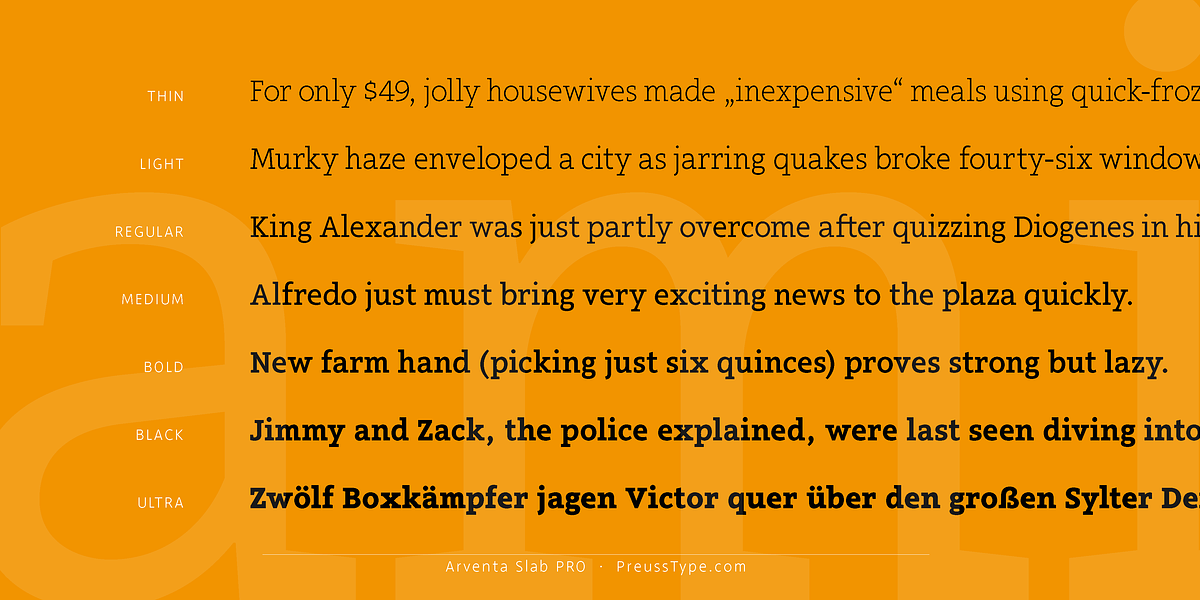 Arventa Slab Pro, a Slab Serif Font by preussTYPE (Photo 4 of 10)