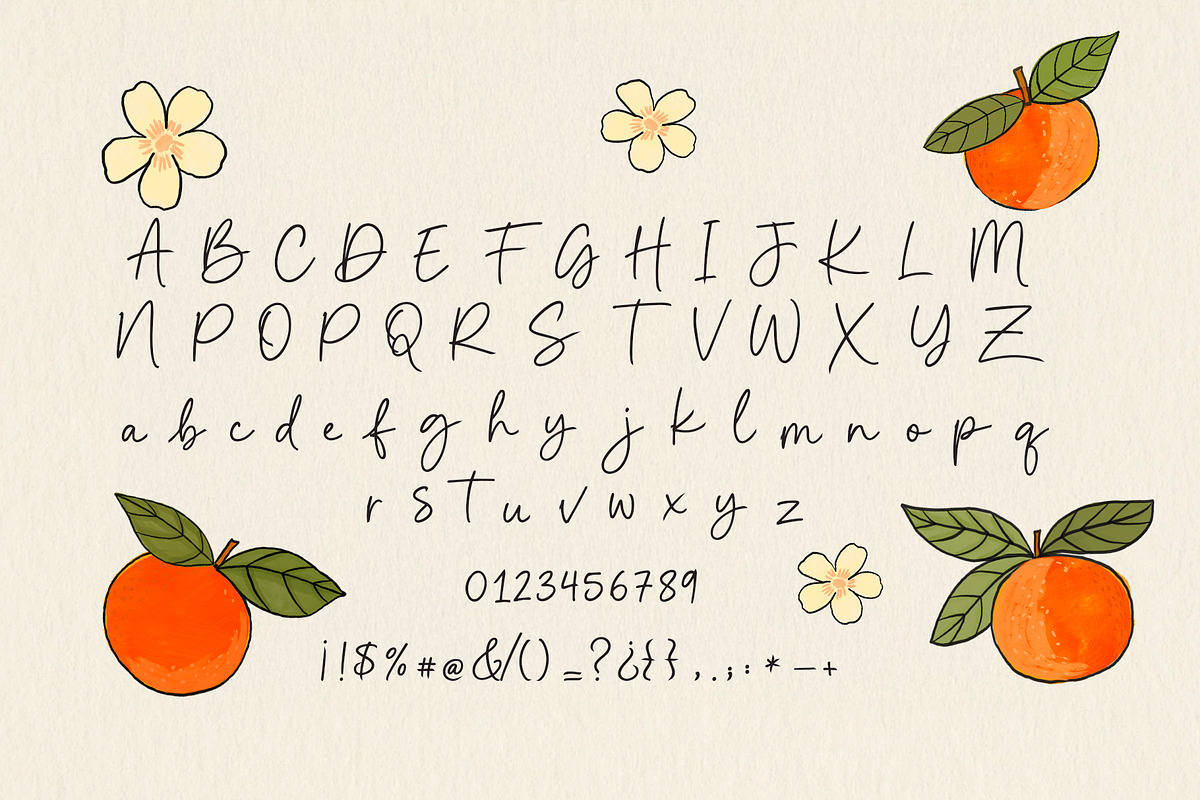 Clementine Sweet Handwritten Font, a Handwritten Font by Lemon Pie Studio (Photo 12 of 13)