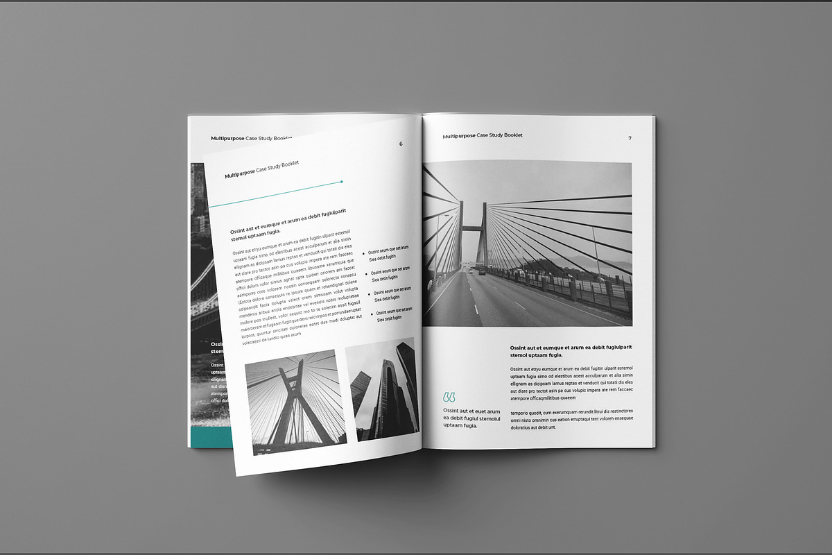 Case Study Booklet Template, a Brochure Template by Seeing-art (Photo 4 of 11)