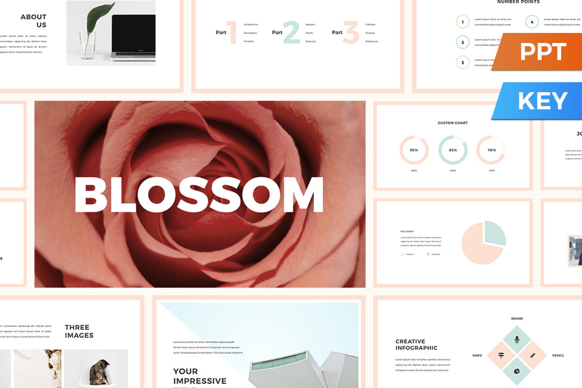 Blossom Presentation Template, a Presentation Template by SlideStation (Photo 1 of 8)