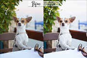 Luminous Lightroom Presets, an Action Add-On by MarieMcKennaDesigns (Thumbnail 6 of 10)