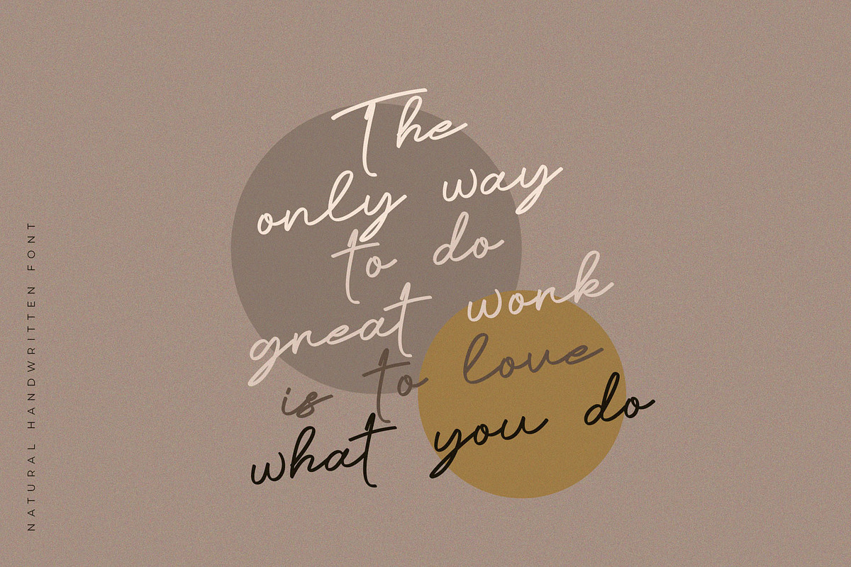 Remonila Elegant Handwritten Script, a Handwritten Font by BrandSemut (Photo 3 of 12)