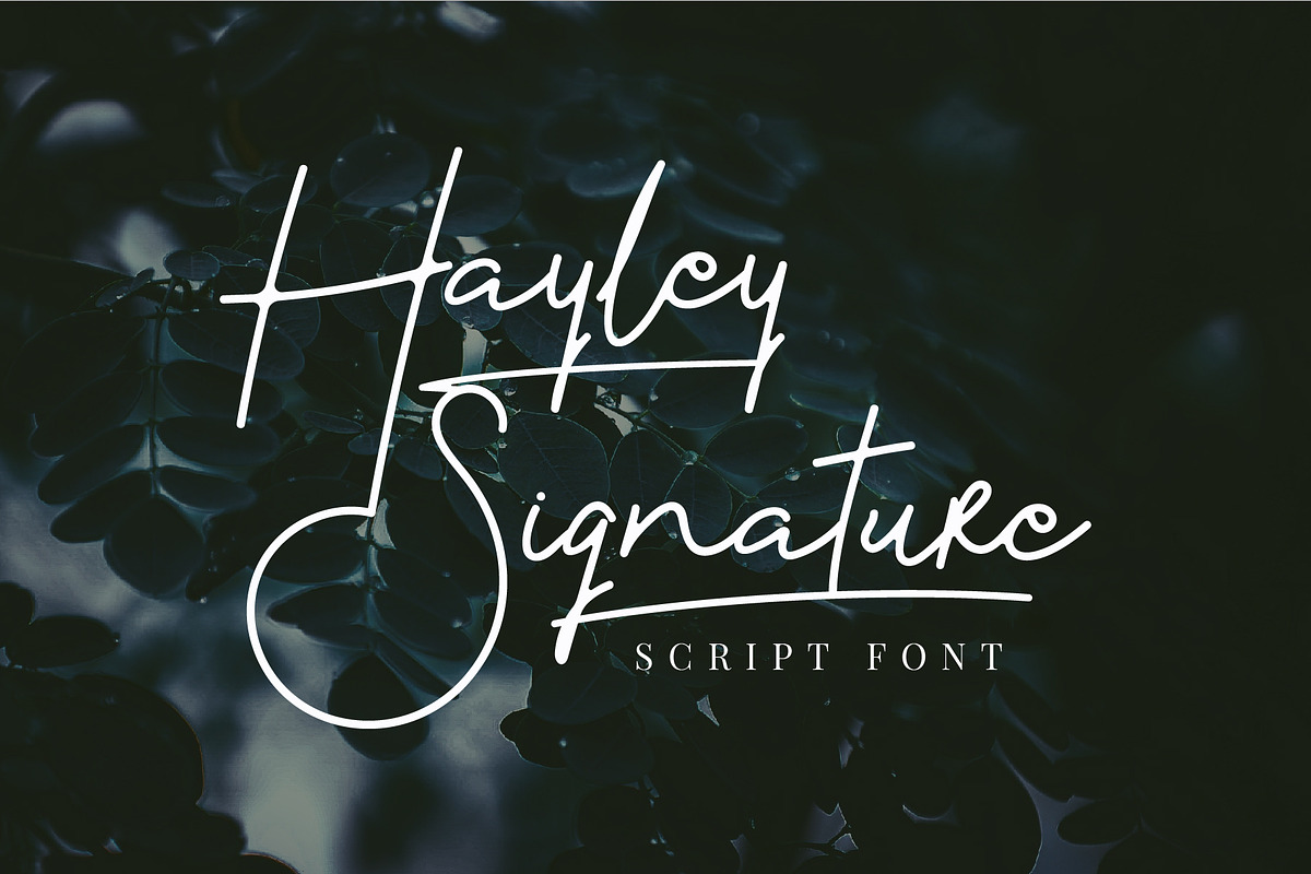 Hayley Signature, a Handwritten Font by yellowline