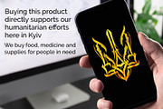 Ukraine support. Coat of Arms set, an Illustration by ZenLettering (Thumbnail 2 of 5)
