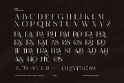 Fagora Calligraphy Serif Font, a Serif Font by Graphicxell (Thumbnail 7 of 9)