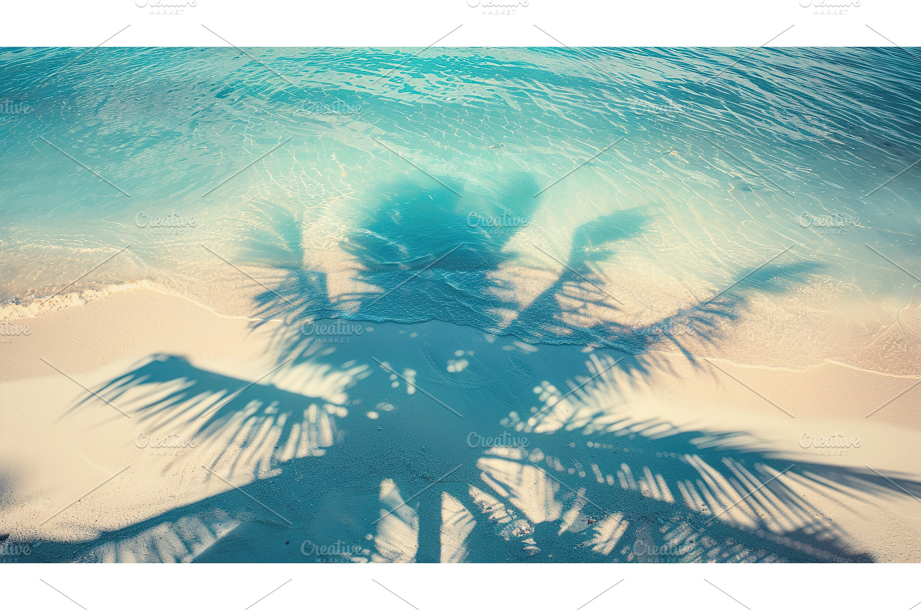 Tropical palm shadows on pristine, a Nature Photo by Lermont51