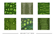 Crocodile or Alligator Skin Patterns, a Pattern Graphic by karenfoleyphoto (Thumbnail 4 of 9)