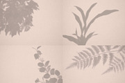 Botanical Shadow Overlays Bundle, a Graphic by denofdreamers (Thumbnail 3 of 4)