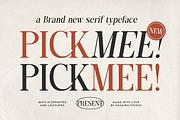 PickMee - Modern Elegant Serif Font, a Serif Font by Shakira Studio (Thumbnail 1 of 10)