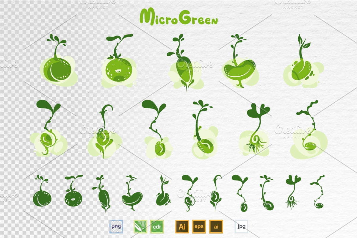 Microgreens Vector Set, an Object Illustration by ElenaKovalyova (Photo 3 of 7)