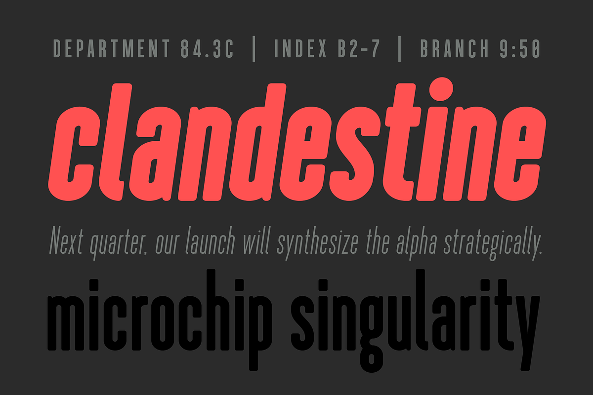 Longitude Rounded Font Family preview 5