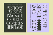 Hidden Midnight Modern Elegant Serif, a Serif Font by timelesstype.co (Thumbnail 9 of 10)