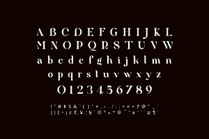 Qittney Unique Ligature Serif Typefa