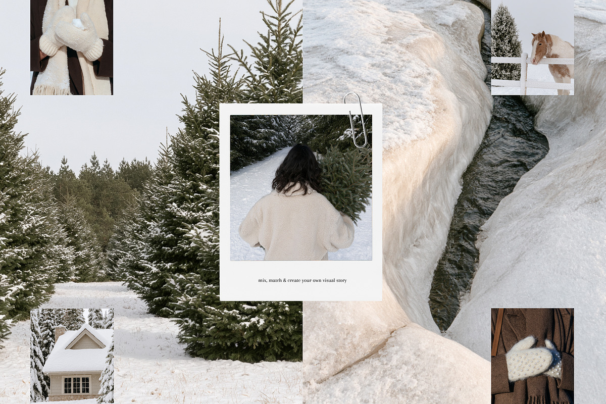 110 Aesthetic Winter Stock Photos, a Nature Photo by Trissa (Photo 6 of 12)