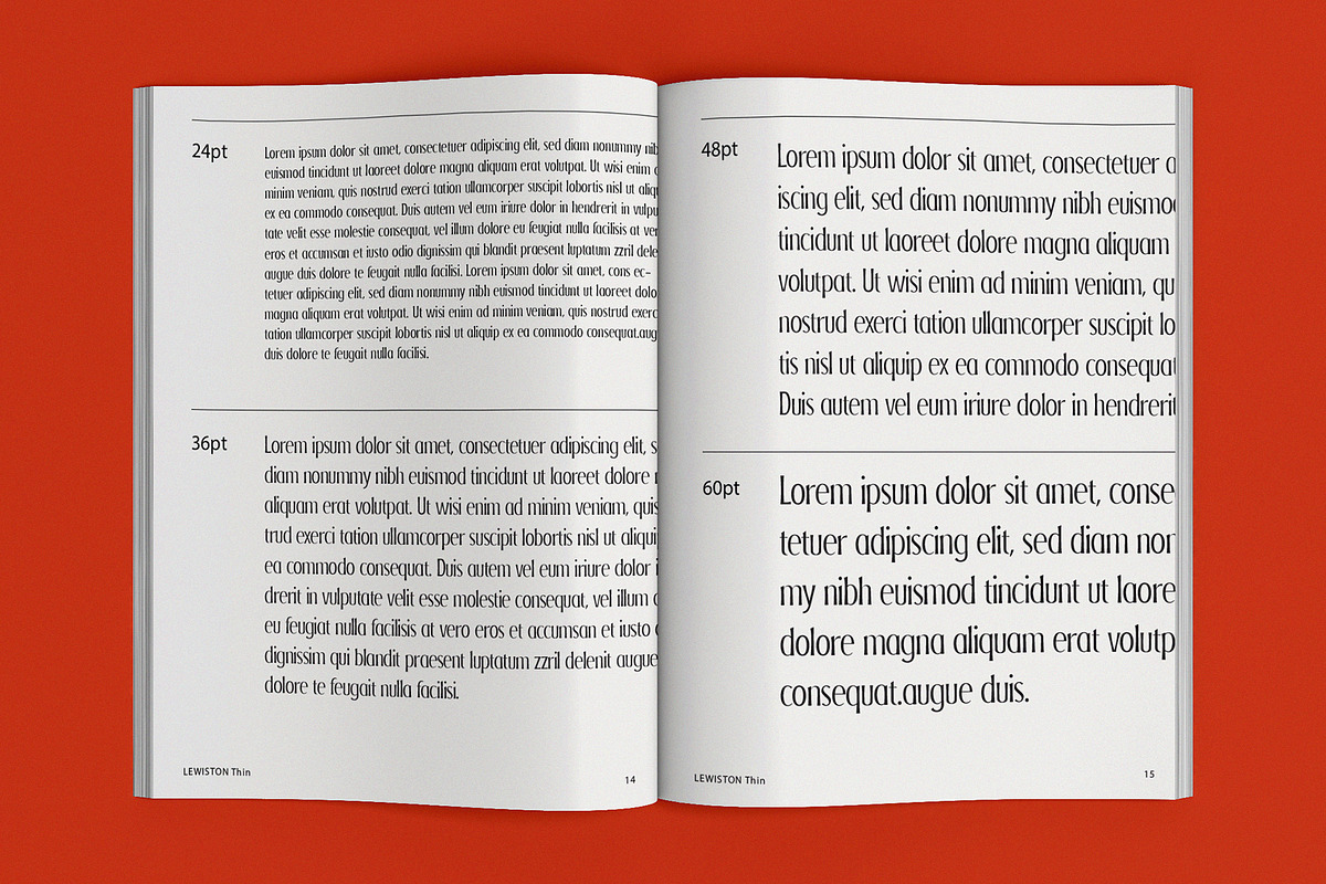 LEWISTON: A Serif Typeface, a Serif Font by Liszar Inzani (Photo 4 of 13)