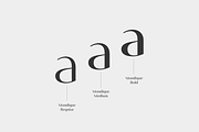Mondique – Elegant Font Family, a Sans Serif Font by Marc Lohner (Thumbnail 5 of 10)