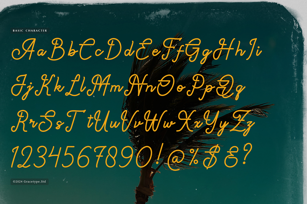 Paradise Gallaiso | Monoline Script, a Script Font by gracetype_studio (Photo 10 of 12)