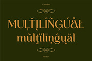 CARNELIAN - Display Variable Type, a Sans Serif Font by Artflorara (Thumbnail 13 of 15)