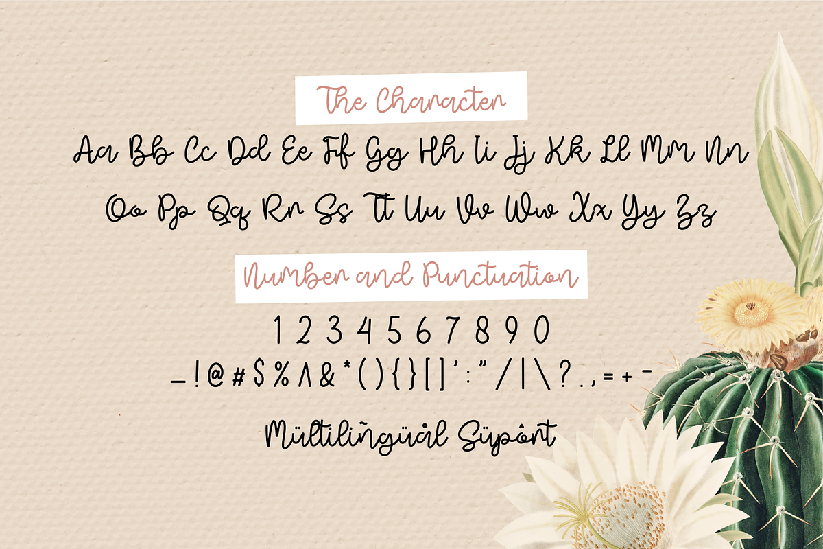 Seminice Font, a Script Font by Forberas Club (Photo 6 of 7)