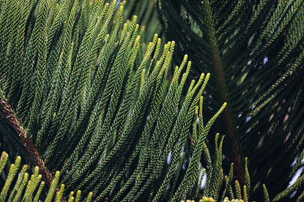 Background, a Background Photo by Sova