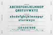 Kindrich – Vintage Serif Font, a Sans Serif Font by Drizy (Thumbnail 5 of 10)