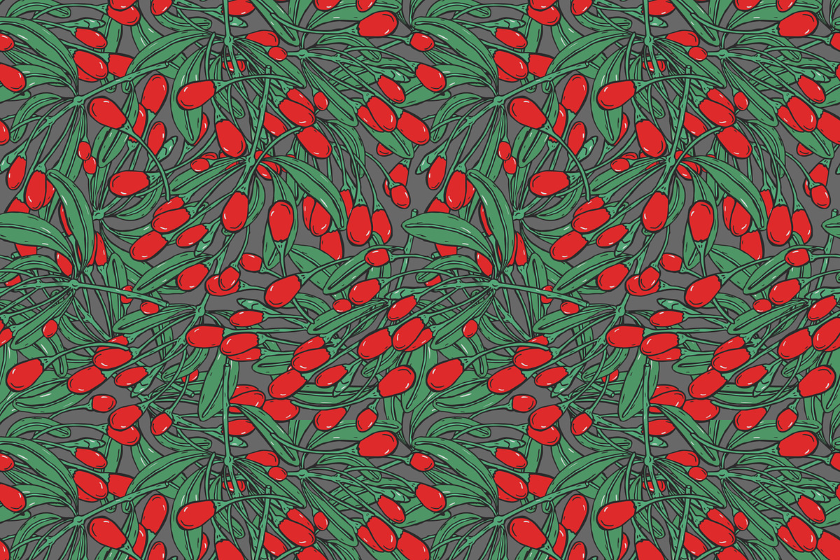 Goji berries set, seamless patterns, a Food Illustration by Good Studio (Photo 7 of 9)