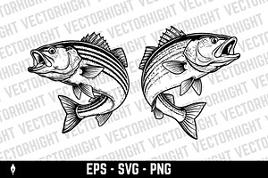 illustration of a Sea Bass, an Animal Illustration by Vectorhight