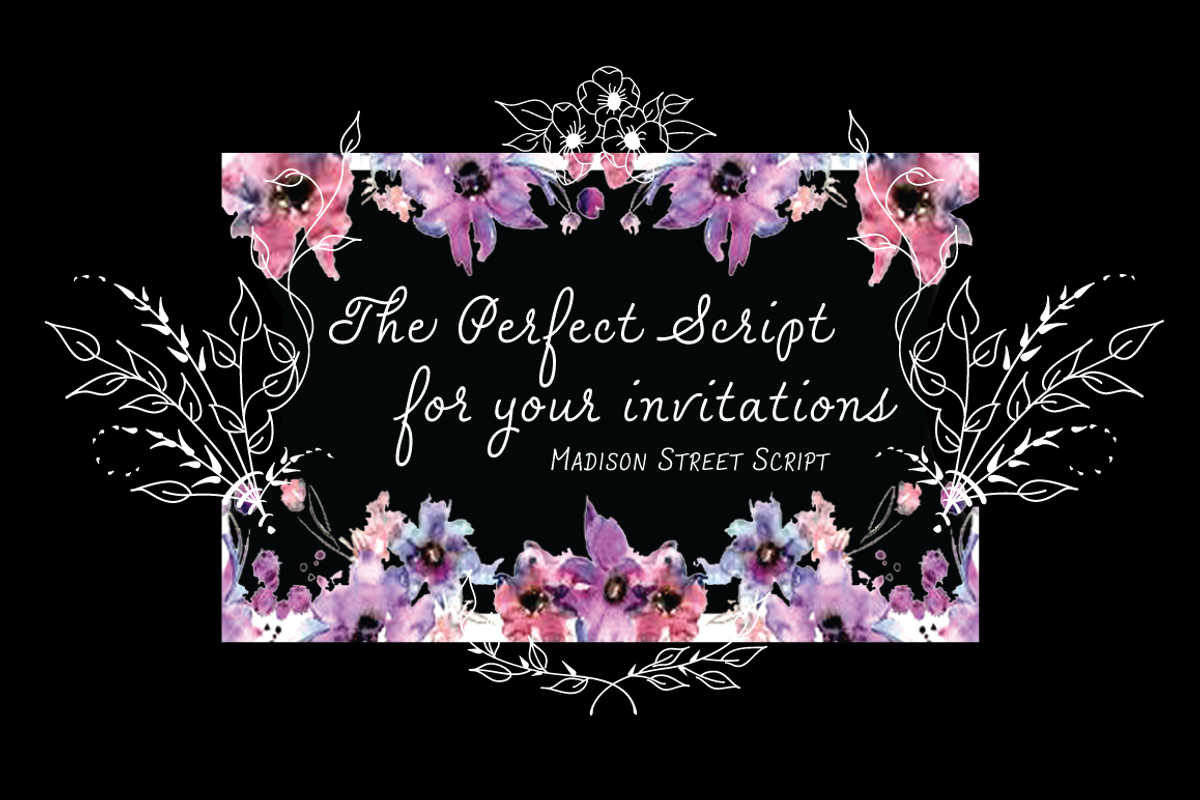 Madison Street Pro, a Script Font by STUDIOWAYS (Photo 3 of 8)