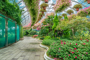 Big indoor green garden or greenhouse with many plants and flowers and walking, a Nature Photo by iuliia_n