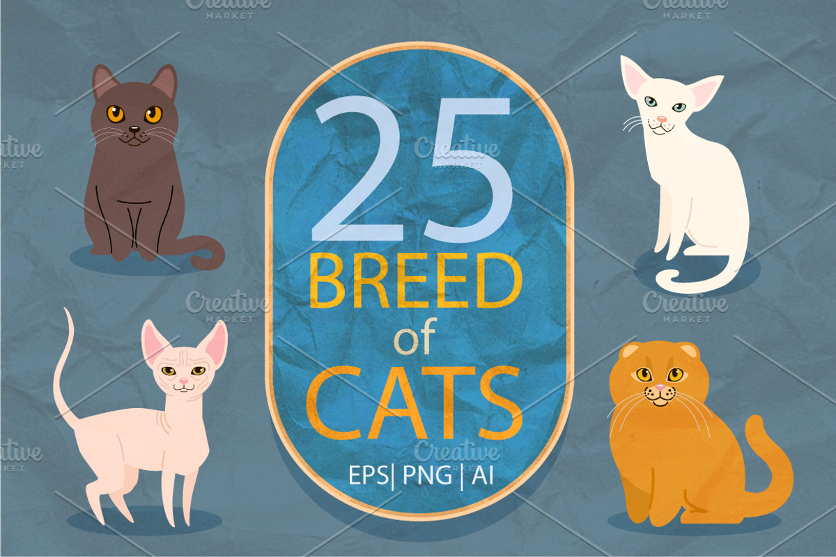 25 breeds of cats, vector, an Animal Illustration by Mallinka (Photo 1 of 3)