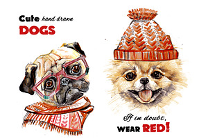Cute hand drawn dogs. Spitz. Pug