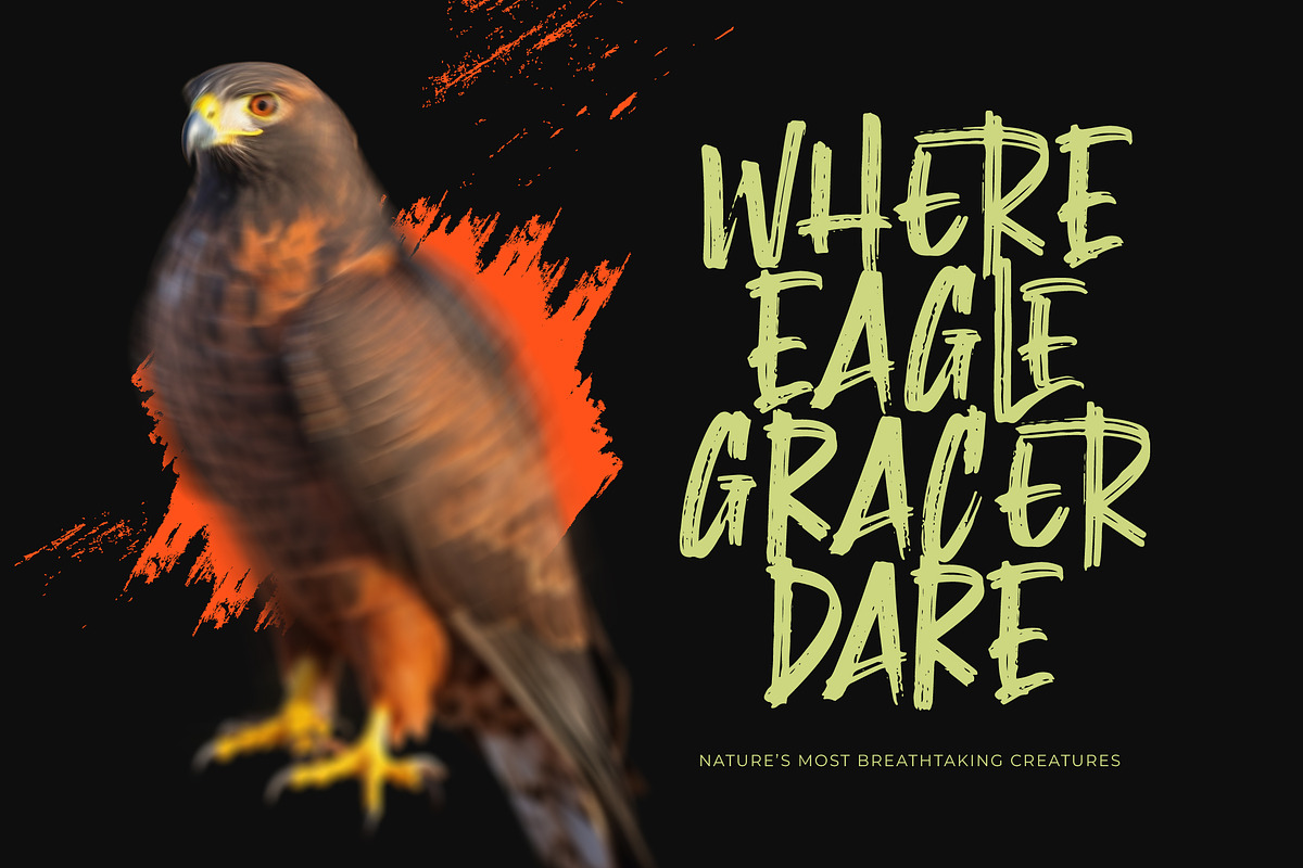 Montha Stroner Display Brush Font, a Script Font by Letterena Studios Script (Photo 3 of 15)