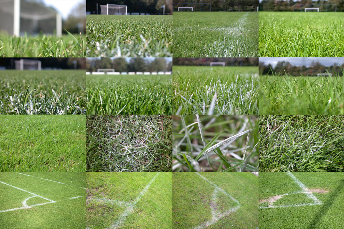 Amateur Soccer Field Photo Set preview 7