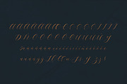 Emeline Script Font, a Script Font by Deeezy (Thumbnail 7 of 7)