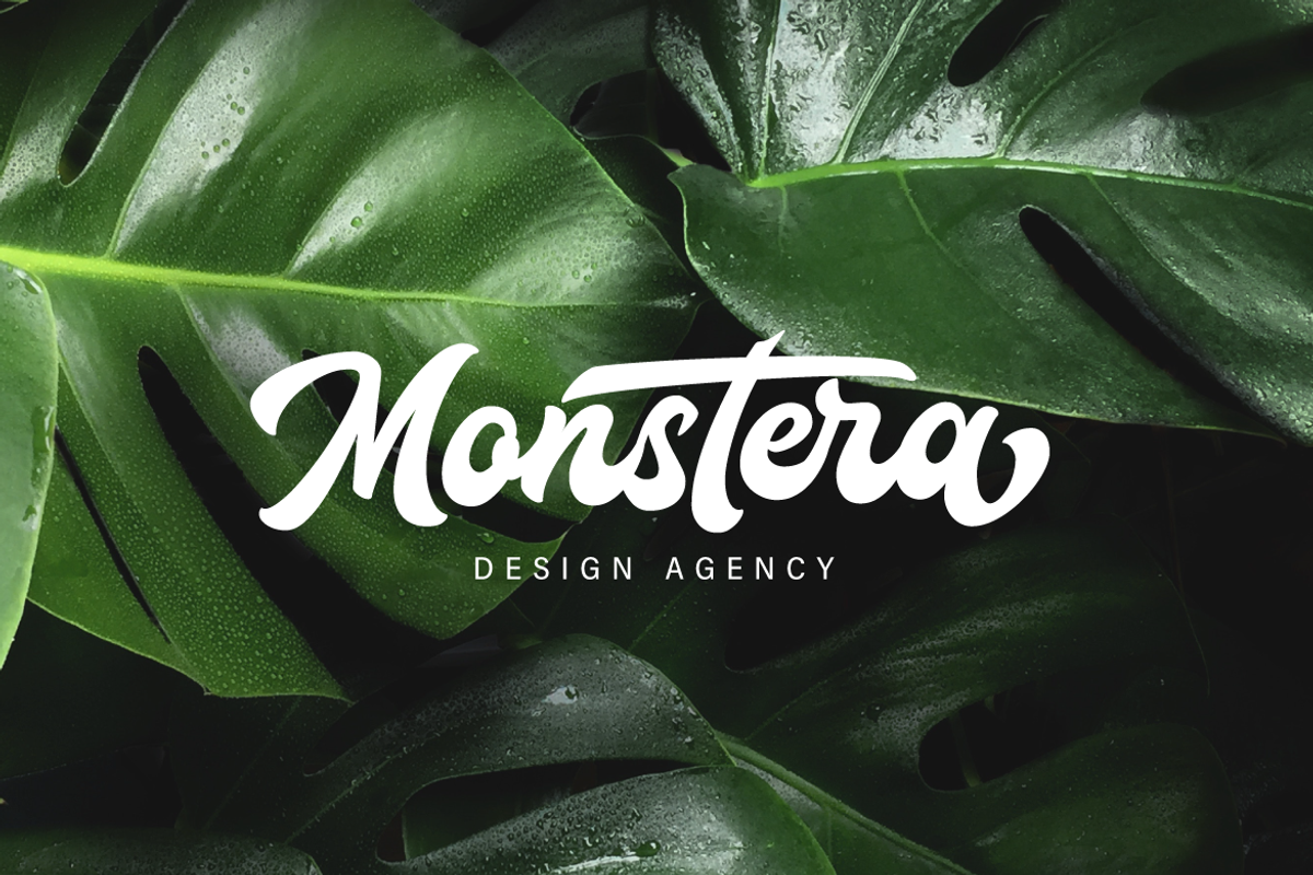 Houstander Font Duo preview 2