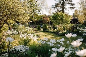 Lush garden design with white blooming flowers, fresh green lawn, a Photo by Studio ANNA