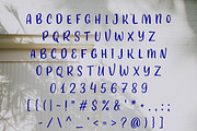 Surf House Handwritten font, a Font by Type Tale (Thumbnail 4 of 10)
