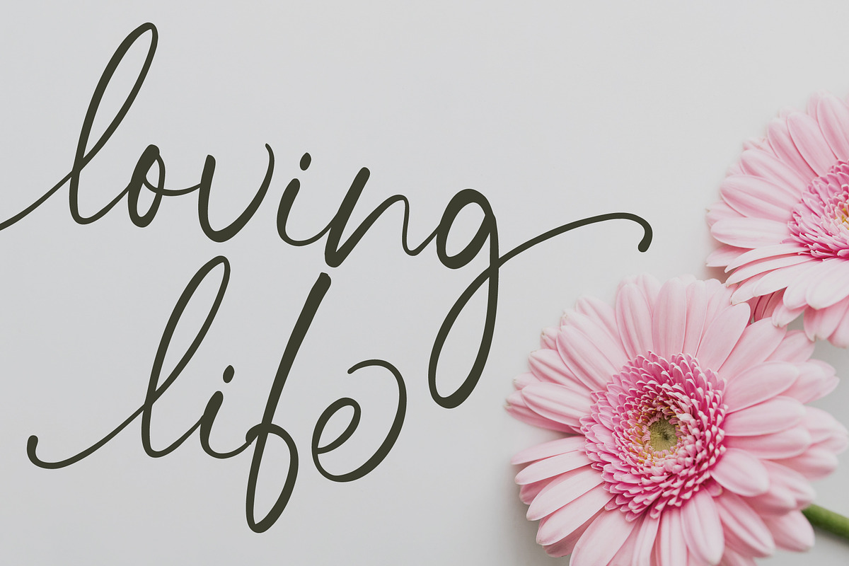 Handwriting Font and Botanicals, a Script Font by pixelcolours (Photo 6 of 10)