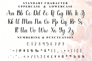 Western, a Handwritten Font by FreshTypeINK (Thumbnail 8 of 8)