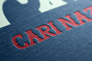CarinaZ | Elegant Modern Serif, a Serif Font by Astuti Studio (Thumbnail 14 of 25)