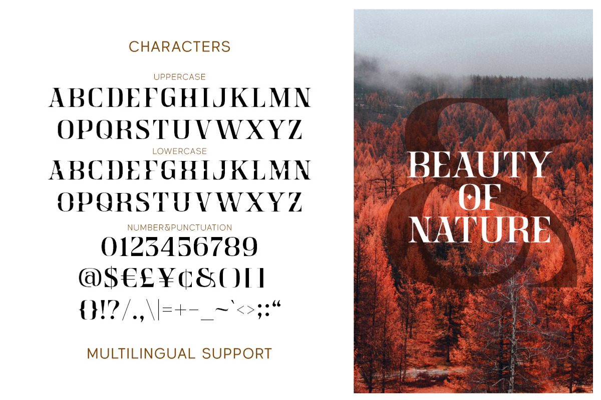 Crainzel - Display Serif Font, a Serif Font by Letterhend Studio (Photo 7 of 9)