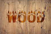 Forest Outdoors Font, a Font by vladocar (Thumbnail 8 of 9)