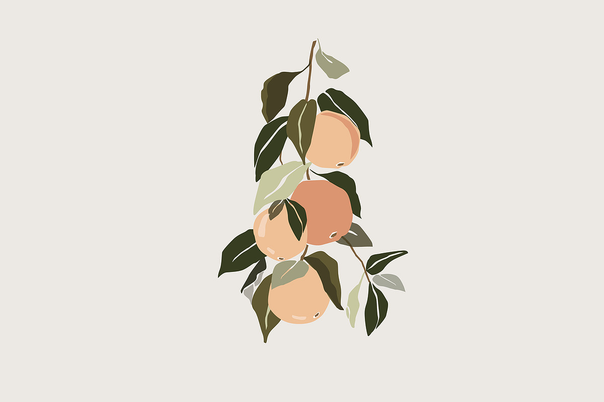 Orange tree branch vector, a Decorative Illustration by akovtun
