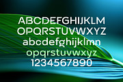 Altarossa trendy fashion font family, a Sans Serif Font by popskraft (Thumbnail 3 of 13)