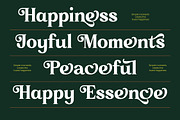 Broken Relent Decorative Serif, a Serif Font by timelesstype.co (Thumbnail 8 of 20)