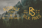 Roadside Pines - Vintage Serif, a Serif Font by The Forge Type Co (Thumbnail 10 of 10)