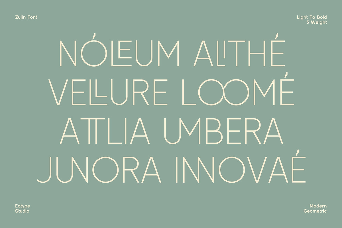 Zujin - Geometric Sans-Serif, a Font by Eotype Studio (Photo 8 of 12)