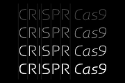 RNS Laxgo, a Sans Serif Font by RNS Fonts (Thumbnail 2 of 9)