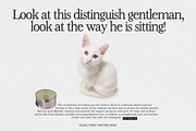 Retro Serif Font - Beauty Outside, a Serif Font by pixelcolours (Thumbnail 5 of 9)